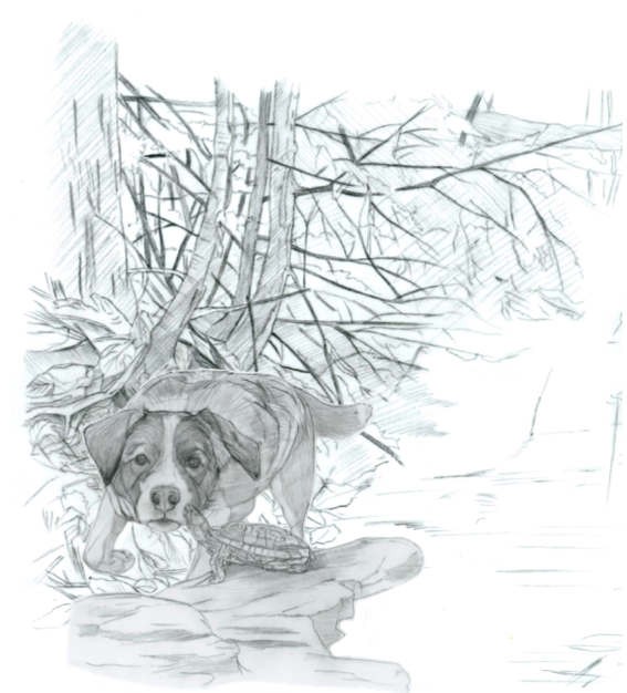 My Pencil Sketches are here 1