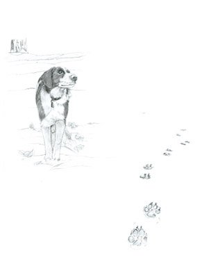 Update-from-my-Illustrator-2
